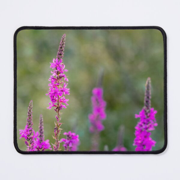 Item preview, Magenta Wildflower Spikes designed and sold by Rabee Khalil Photography.