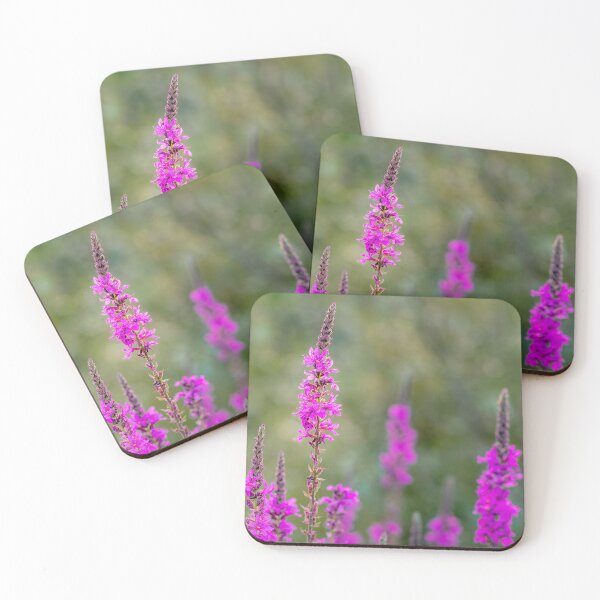 Item preview, Magenta Wildflower Spikes designed and sold by Rabee Khalil Photography.