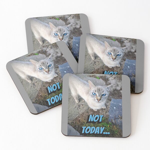Item preview, Not Today Funny Cute Siamese Cat Meme designed and sold by Blackfire's Witchy Wonders.