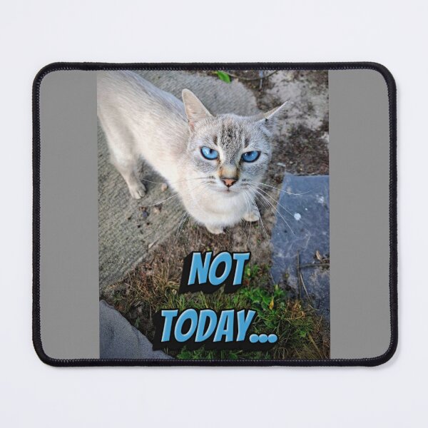 Item preview, Not Today Funny Cute Siamese Cat Meme designed and sold by Blackfire's Witchy Wonders.