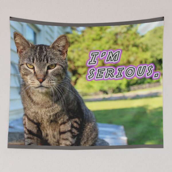 Item preview, I'm Serious Cat Funny Meme Kitty Design designed and sold by Blackfire's Witchy Wonders.