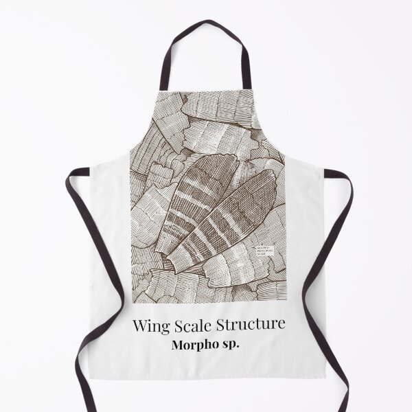 Item preview, Butterfly Wing Scale Structure Vintage Scientific Illustration Morpho designed and sold by NullSpacePrints.