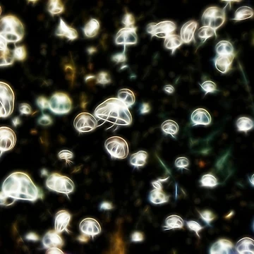 Artwork thumbnail, Lost In Inner Space  by Ray's Photos & Art