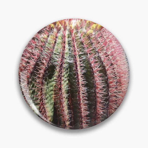 Item preview, Vibrant Barrel Cactus designed and sold by Rizaulussain.