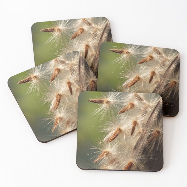 Item preview, Golden Milkweed Seeds in Morning Light designed and sold by Kimberly Palmer.