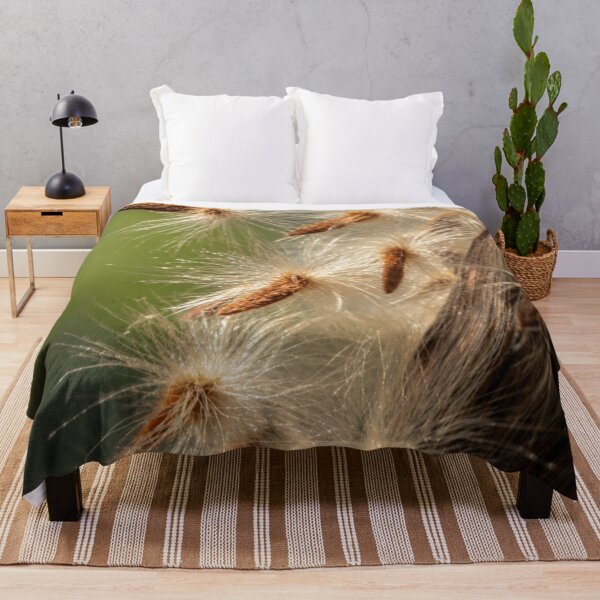 Item preview, Golden Milkweed Seeds in Morning Light designed and sold by Kimberly Palmer.