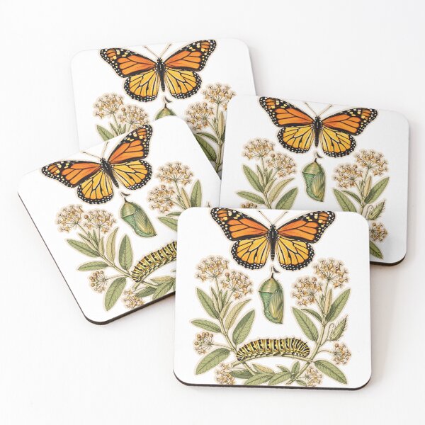Item preview, Monarch Butterfly Life Cycle Vintage Botanical Illustration designed and sold by ConElAlma.
