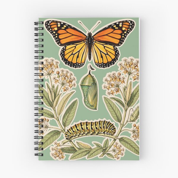 Item preview, Monarch Butterfly Life Cycle Vintage Botanical Illustration designed and sold by ConElAlma.
