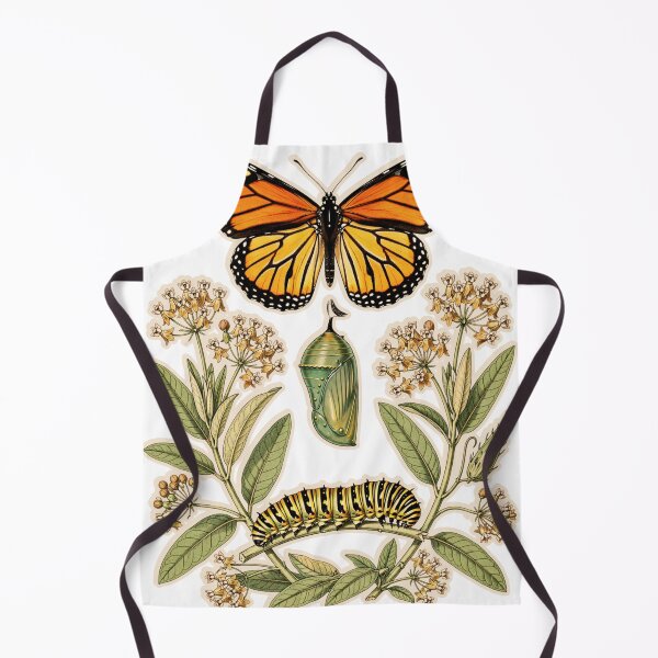 Item preview, Monarch Butterfly Life Cycle Vintage Botanical Illustration designed and sold by ConElAlma.