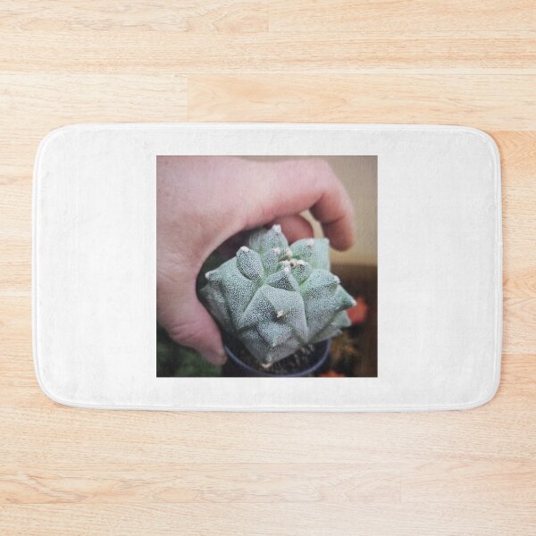 Item preview, Hand Holding a Potted Cactus designed and sold by Rizaulussain.