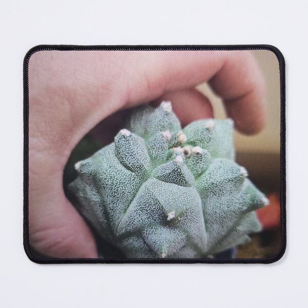 Item preview, Hand Holding a Potted Cactus designed and sold by Rizaulussain.