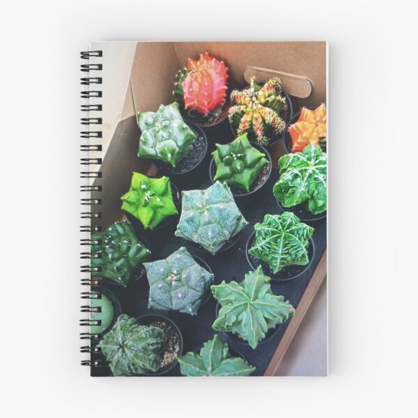 Item preview, Diverse Cactus Collection designed and sold by Rizaulussain.
