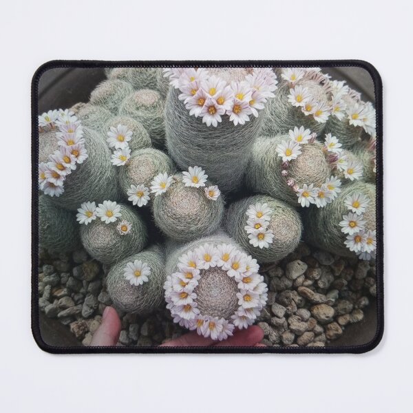Item preview, Flowering Cactus with Gentle Hand designed and sold by Rizaulussain.