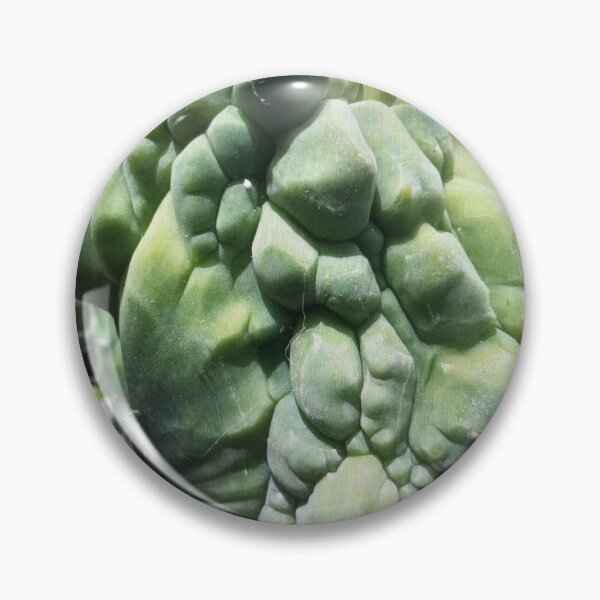 Item preview, Close-Up of a Unique Cactus designed and sold by Rizaulussain.