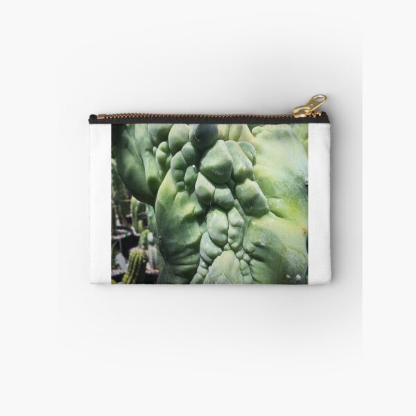 Item preview, Close-Up of a Unique Cactus designed and sold by Rizaulussain.