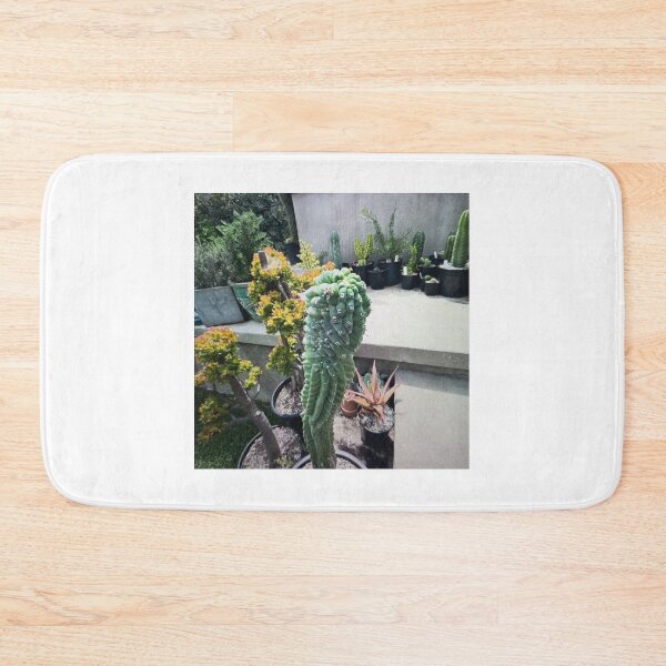 Item preview, Succulent Garden in Sunlight designed and sold by Rizaulussain.
