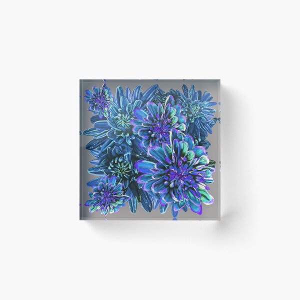Item preview, Light Blue Chrysanthemums 2 designed and sold by nastiaart.