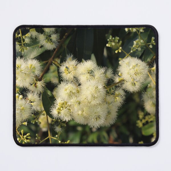 Item preview, Australian Lemon Scented Myrtle Blossom Photo designed and sold by 27Tammy27.