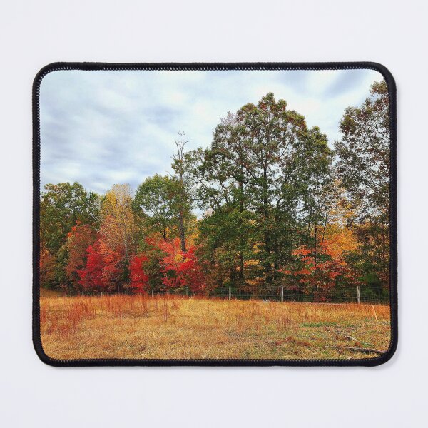 Item preview, Autumn Colors of North Carolina designed and sold by Threadedresin.