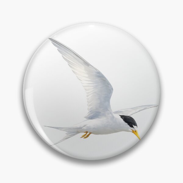 Artikelvorschau, Fairy Tern Watercolour Illustration entworfen und verkauft von Jaruart.