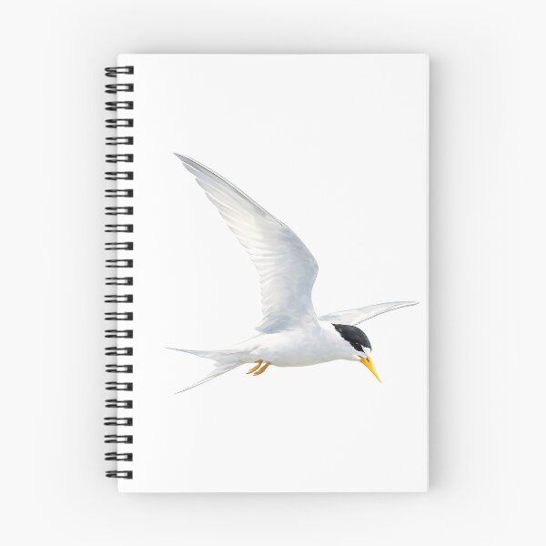 Item preview, Fairy Tern Watercolour Illustration designed and sold by Jaruart.