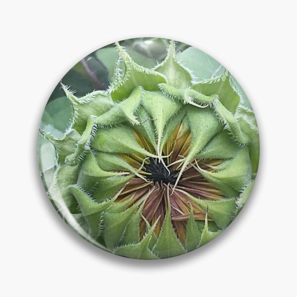 Item preview, Waiting to Open Up designed and sold by Abeink1030.
