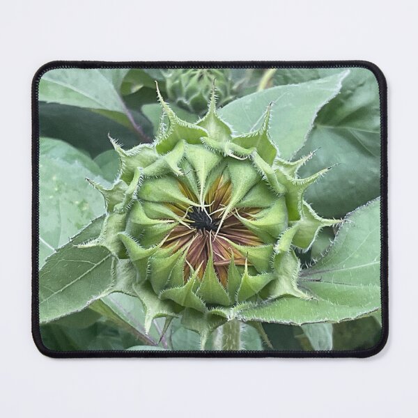 Item preview, Waiting to Open Up designed and sold by Abeink1030.