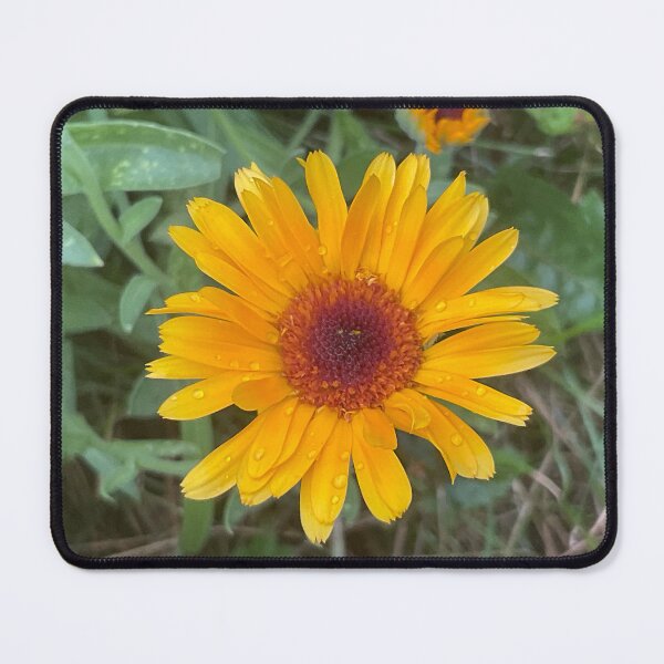 Item preview, Hello Yellow designed and sold by Abeink1030.
