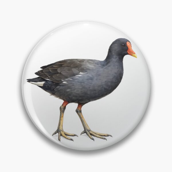 Artikelvorschau, Dusky Moorhen Watercolour Illustration entworfen und verkauft von Jaruart.