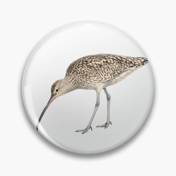 Item preview, Eastern Curlew Wading Bird Watercolour designed and sold by Jaruart.