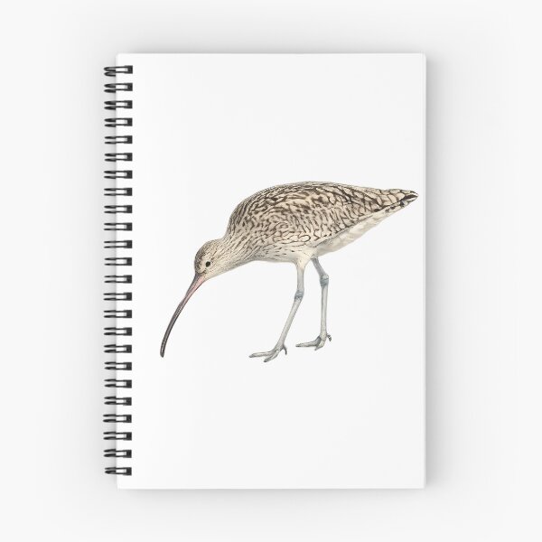 Item preview, Eastern Curlew Wading Bird Watercolour designed and sold by Jaruart.
