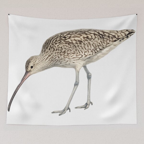 Item preview, Eastern Curlew Wading Bird Watercolour designed and sold by Jaruart.