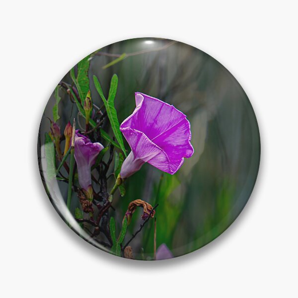 Item preview, Catching the Light designed and sold by James Hoffman.
