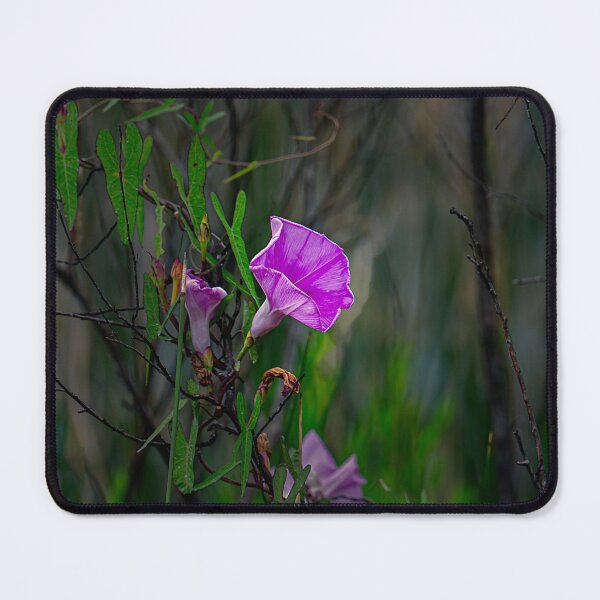 Item preview, Catching the Light designed and sold by James Hoffman.