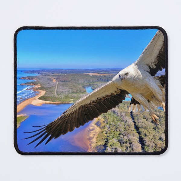 Item preview, Betka River Guardian - White-Breasted Sea Eagle designed and sold by Colin Dixon.
