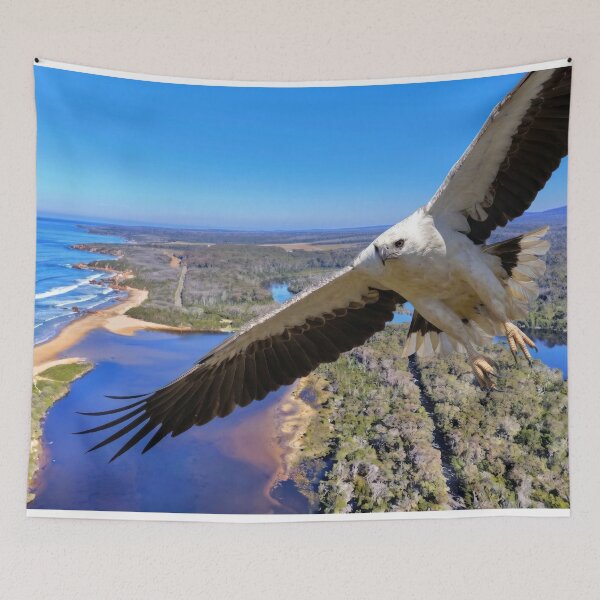 Item preview, Betka River Guardian - White-Breasted Sea Eagle designed and sold by Colin Dixon.