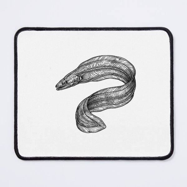 Item preview, Vintage Woodcut Leptocephalus Illustration designed and sold by DuckOddity.