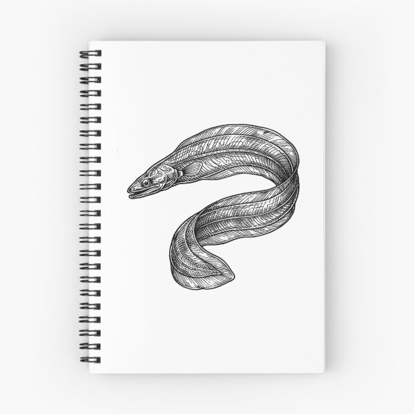 Item preview, Vintage Woodcut Leptocephalus Illustration designed and sold by DuckOddity.
