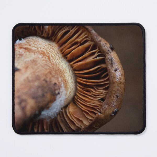 Item preview, close up of a mushroom gills designed and sold by danielasynner.