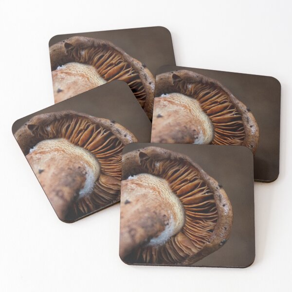 Item preview, close up of a mushroom gills designed and sold by danielasynner.