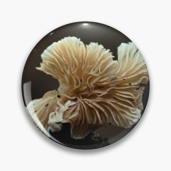Item preview, close up of a mushroom designed and sold by danielasynner.