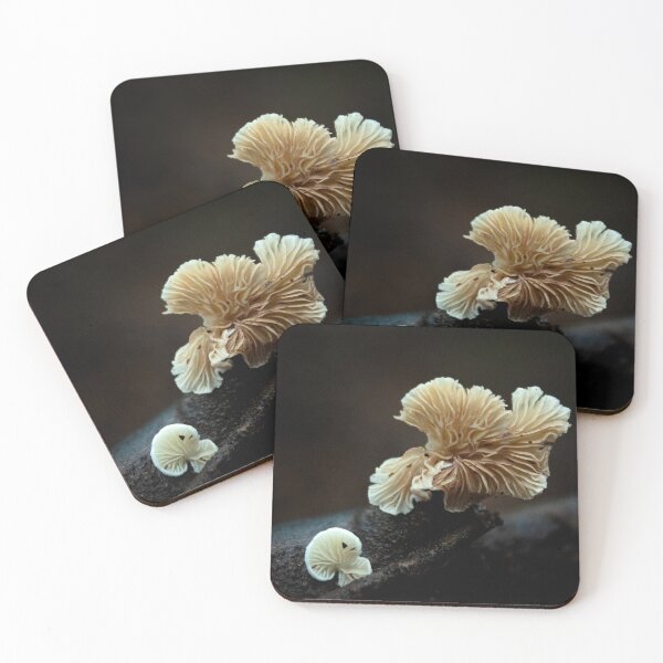 Item preview, close up of a mushroom designed and sold by danielasynner.