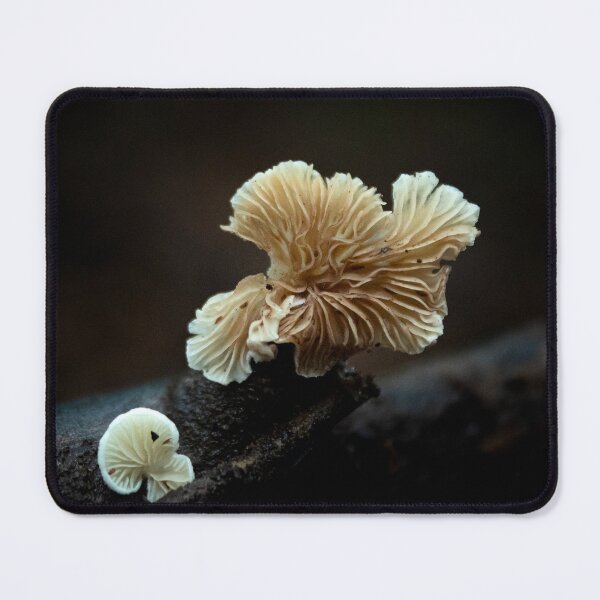 Item preview, close up of a mushroom designed and sold by danielasynner.