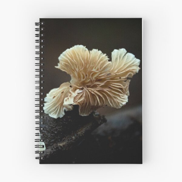 Item preview, close up of a mushroom designed and sold by danielasynner.