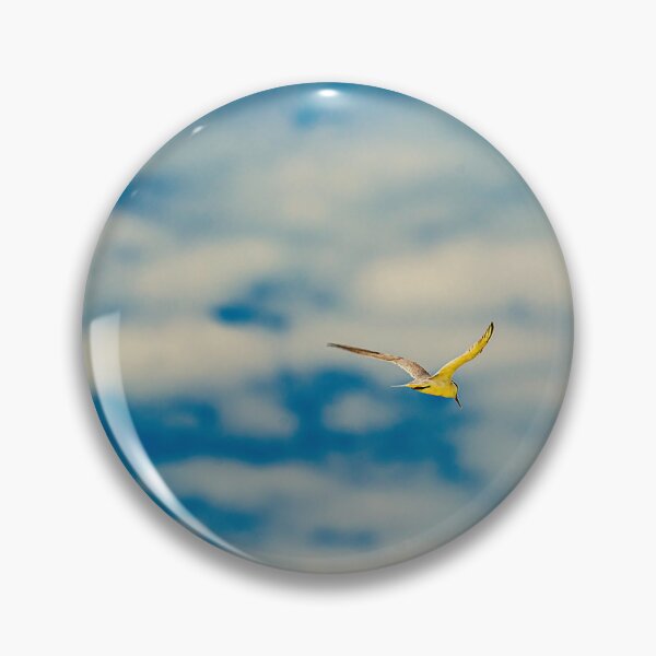 Item preview, Sailing a Florida Sky designed and sold by James Hoffman.