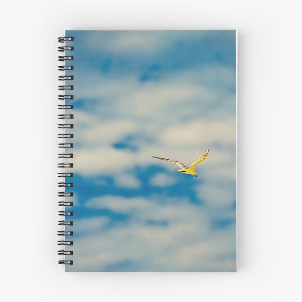 Item preview, Sailing a Florida Sky designed and sold by James Hoffman.