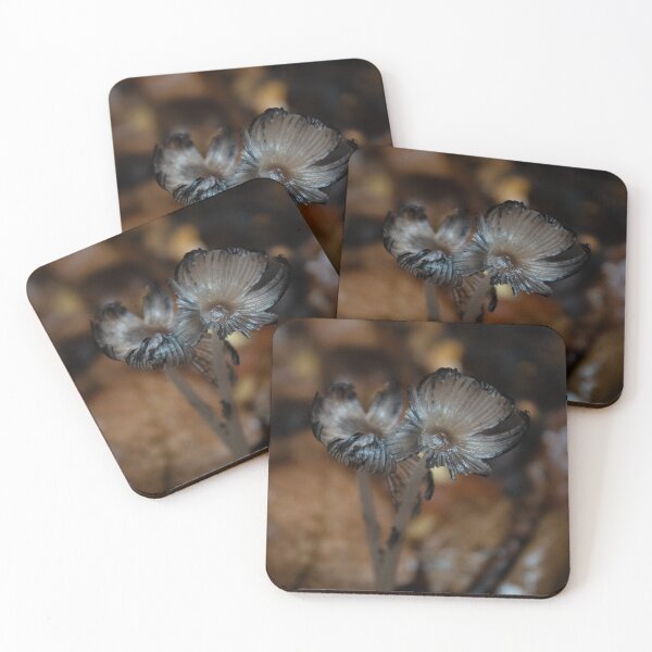 Item preview, Macro photo of a mushroom designed and sold by danielasynner.