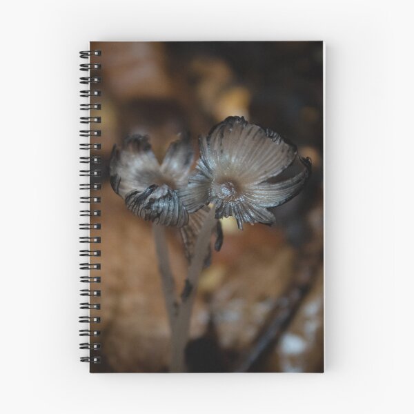 Item preview, Macro photo of a mushroom designed and sold by danielasynner.