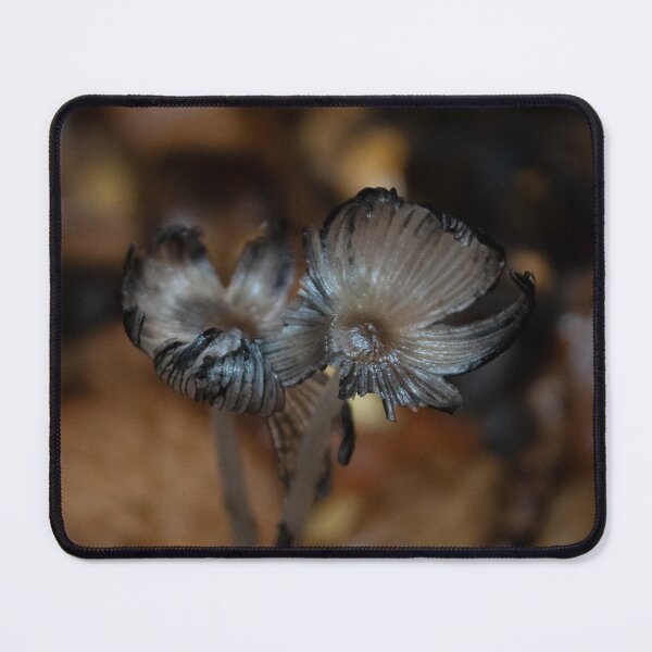 Item preview, Macro photo of a mushroom designed and sold by danielasynner.