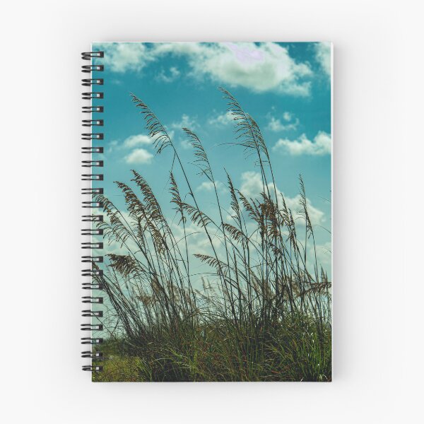 Item preview, Sea Oats in the Sunshine designed and sold by James Hoffman.